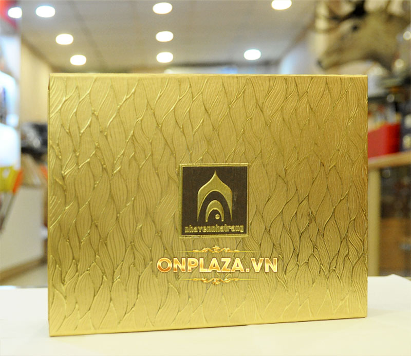  Yến trắng thô thượng hạng (100g/hộp) -Y065 ảnh3