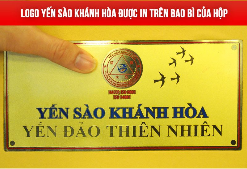 Yến nguyên tổ Khánh Hòa hộp 100g TP1-Y001 ảnh4